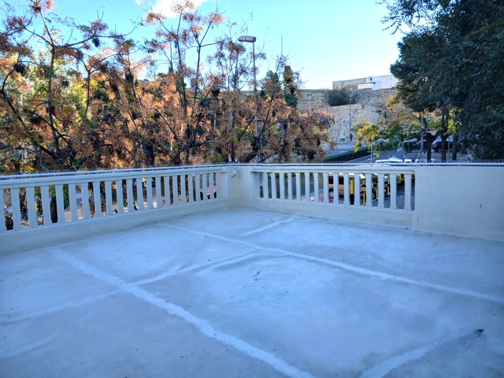 WhatsApp Image 2025-11-24 at 11.03.39