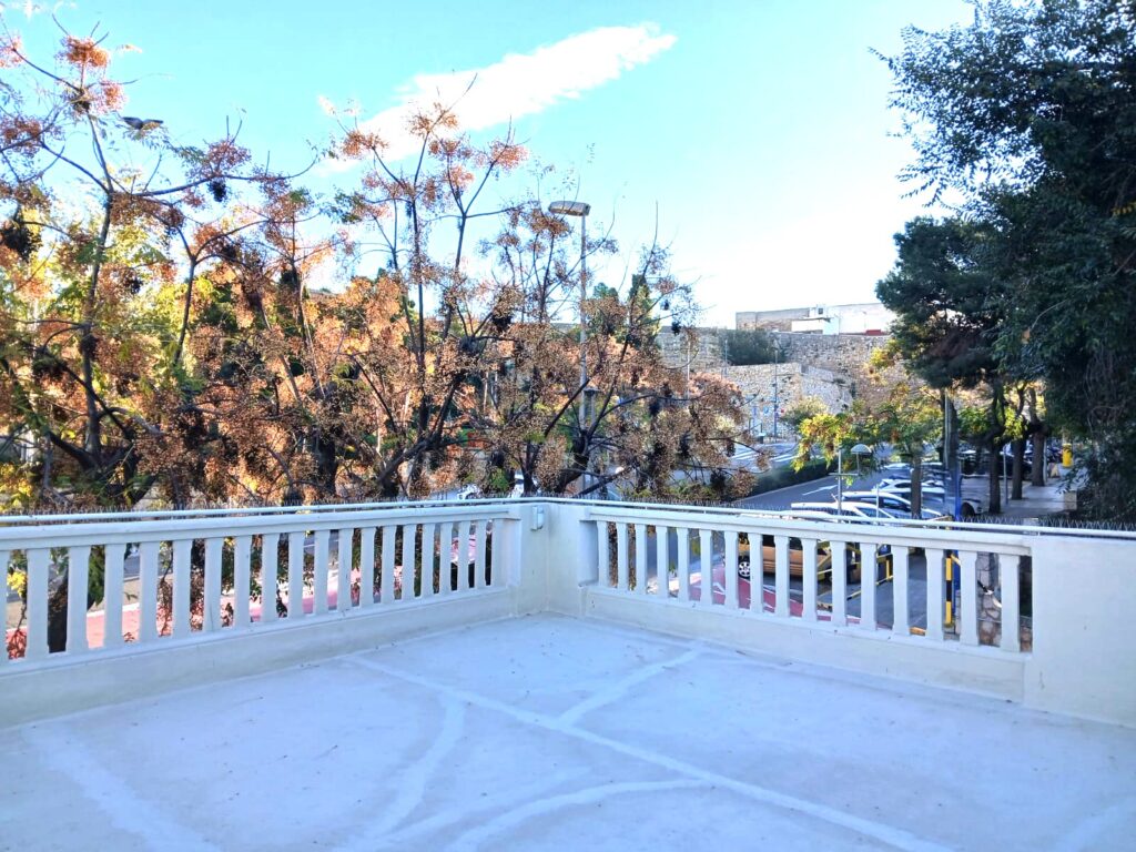 WhatsApp Image 2025-11-24 at 11.03.40